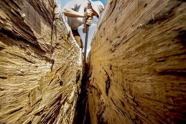 The boatbuilders are cleaving oak for Skuldelev 5: Tuesday 11/7 from 10:00