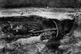 Photo from the excavation of the Ladby grave. Photo: Nationalmuseet