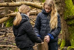 Skoleeleverne får til opgave at gå ud i skoven i små hold for at finde materialer, som de tænker kunne have været nyttige for mennesker i vikingetiden.