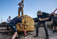 Vikingeskibsmuseets bådebyggere kløver en egetræsstamme. Copyright: Vikingeskibsmuseet i Roskilde. Vikingeskibsmuseets bådebyggere kløver en egetræsstamme. Copyright: Vikingeskibsmuseet i Roskilde.